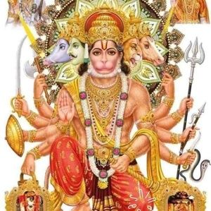 Meet your Posher, Anamika